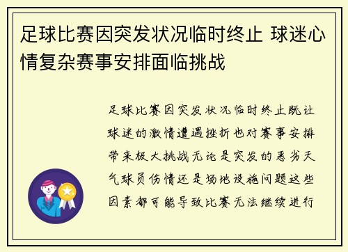 足球比赛因突发状况临时终止 球迷心情复杂赛事安排面临挑战